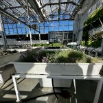 Experimental hydroponic station with plants growing inside greenhouse at CSU Spur campus